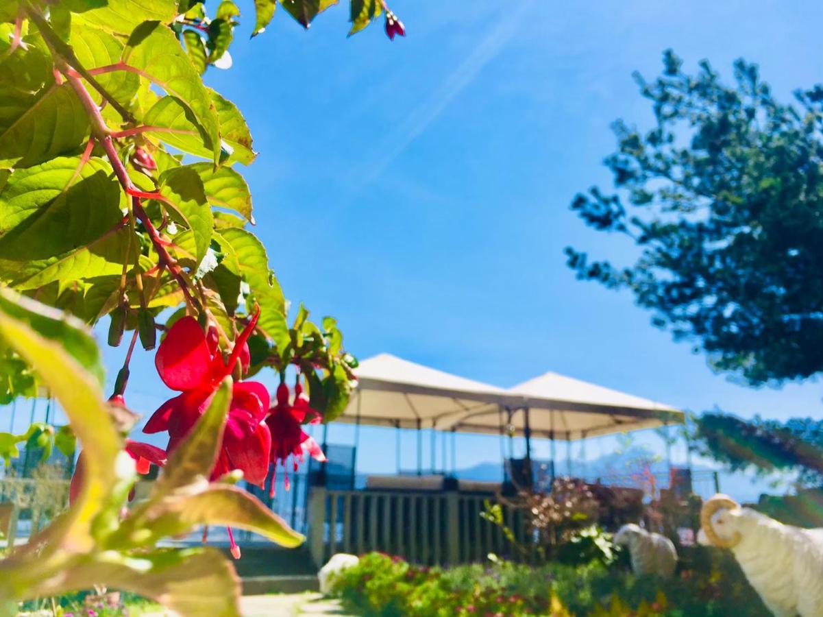 Shepherd'S B&B Renai Dış mekan fotoğraf